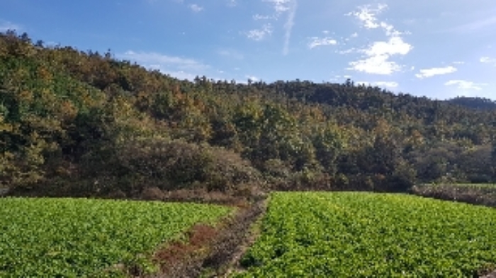 순천지원 2019타경55880-1 사진