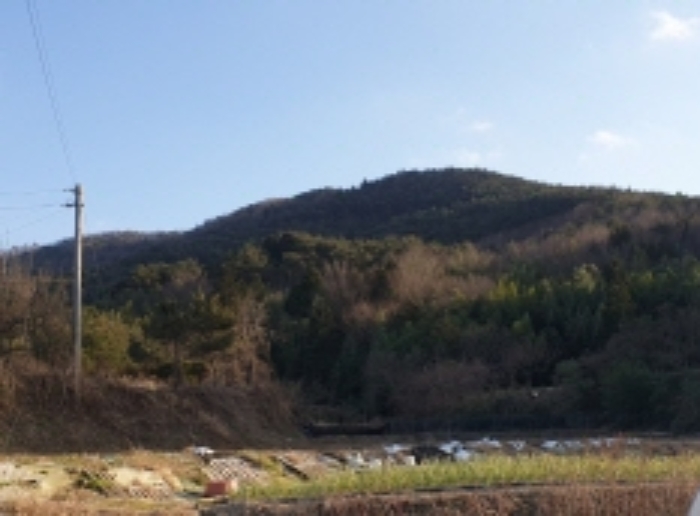 순천지원 2019타경57893-1 사진