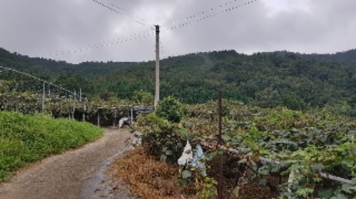 순천지원 2020타경55558-2 사진