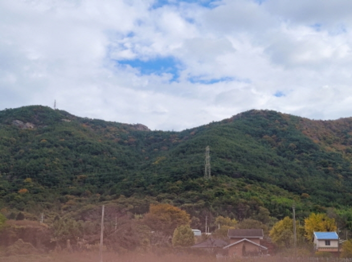 순천지원 2021타경5901-1 사진