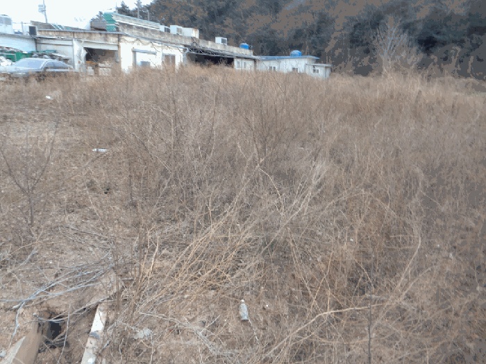 순천지원 2025타경746-2 사진