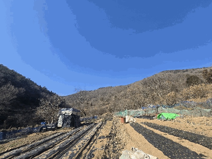 순천지원 2026타경8-1 사진