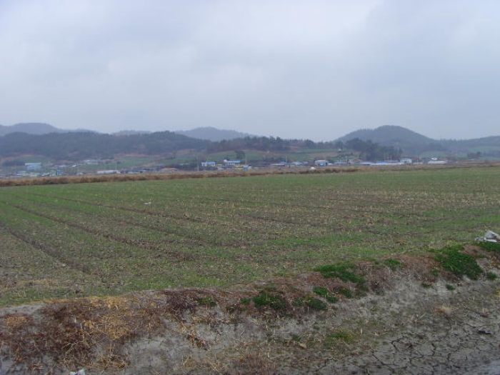 해남지원 2017타경3697-1 사진