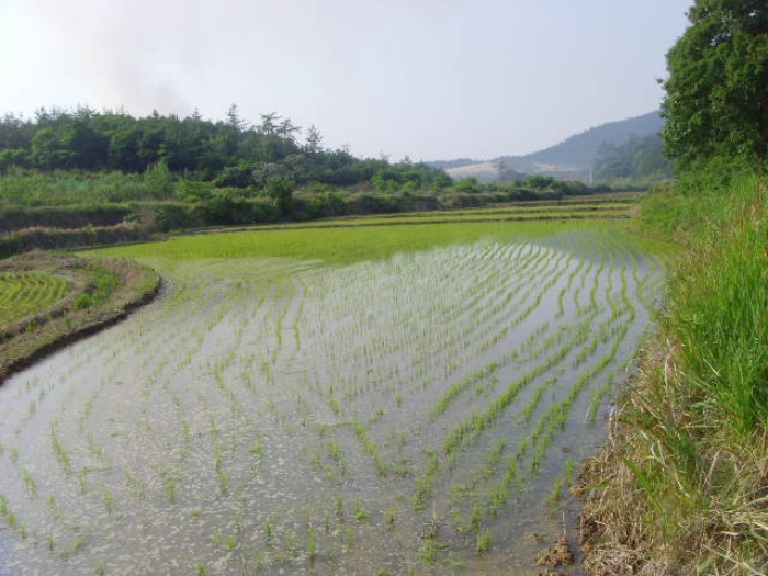 해남지원 2019타경1916-1 사진