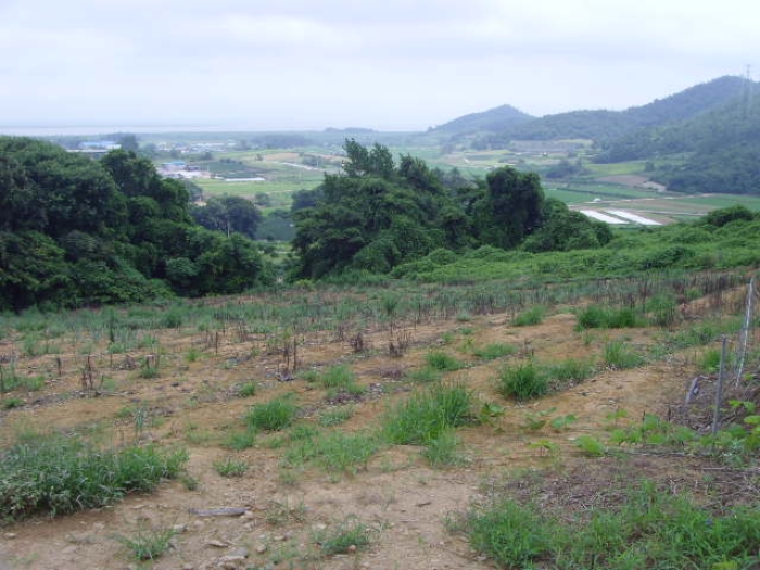 해남지원 2019타경2452-1 사진