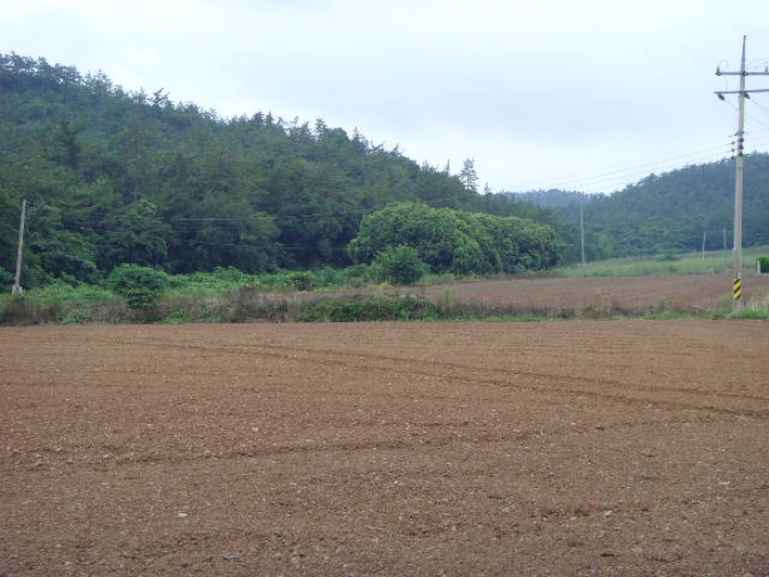 해남지원 2019타경2995-1 사진