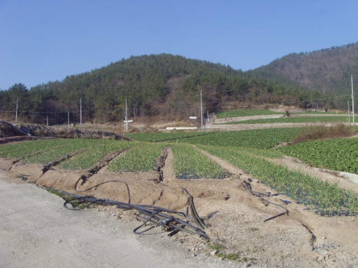 해남지원 2019타경4519-1 사진