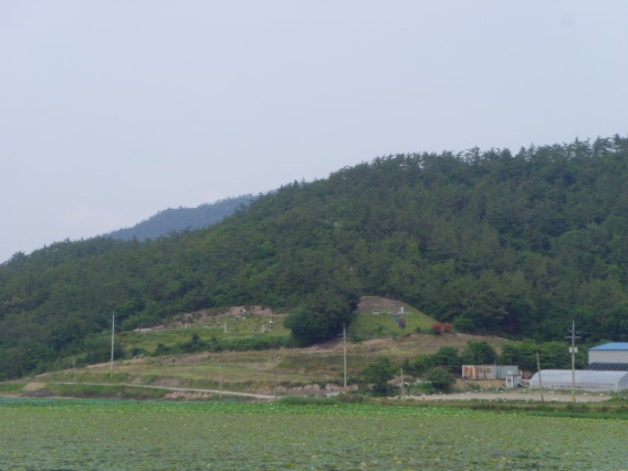 해남지원 2019타경50895-1 사진