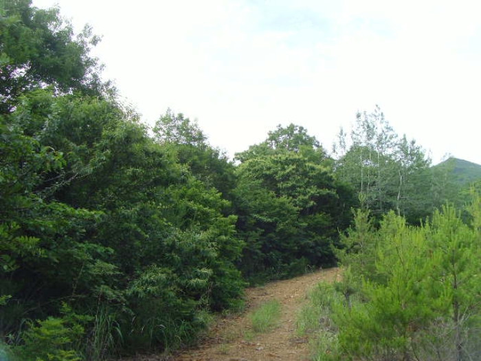 해남지원 2020타경2007-1 사진