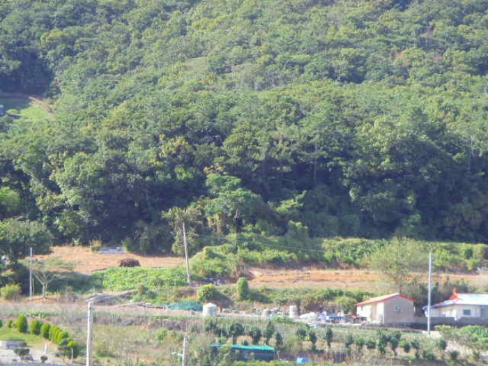 해남지원 2020타경52019-3 사진