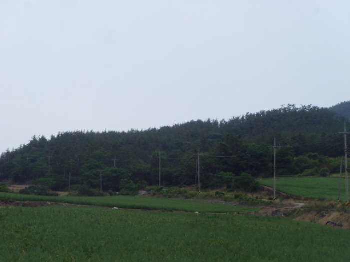 해남지원 2022타경1312-3 사진