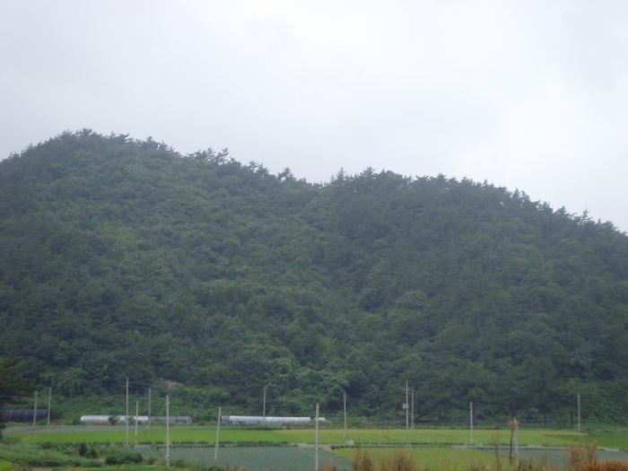 해남지원 2022타경52495-2 사진