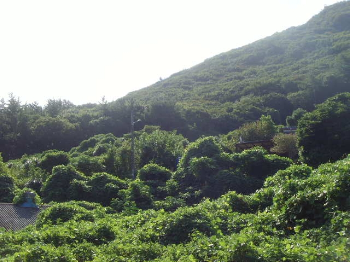 해남지원 2024타경54068-2 사진
