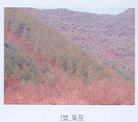 전주지법 2007타경4542-1 사진