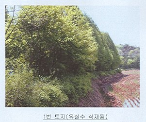 전주지법 2007타경7787-1 사진