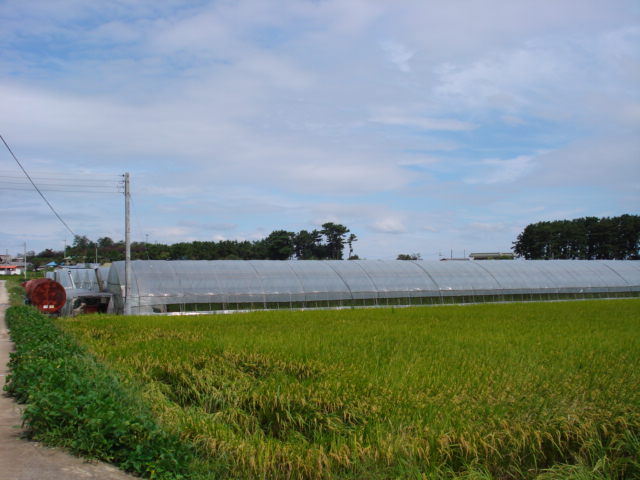 전주지법 2007타경19155-1 사진