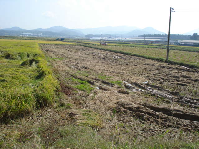 전주지법 2007타경20162-1 사진
