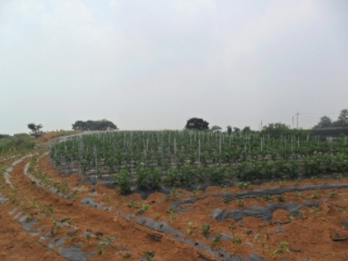 전주지법 2012타경9244-2 사진