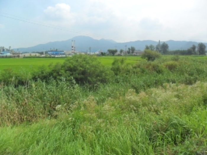 전주지법 2012타경11292-2 사진