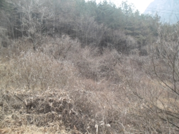 전주지법 2013타경923-3 사진