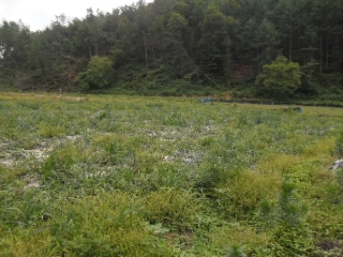 전주지법 2013타경8729-2 사진
