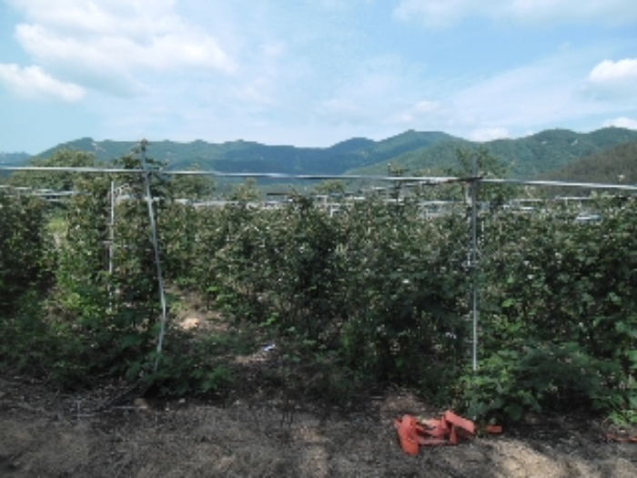 전주지법 2013타경9241-3 사진