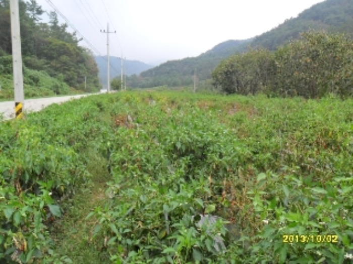 전주지법 2013타경15406-2 사진