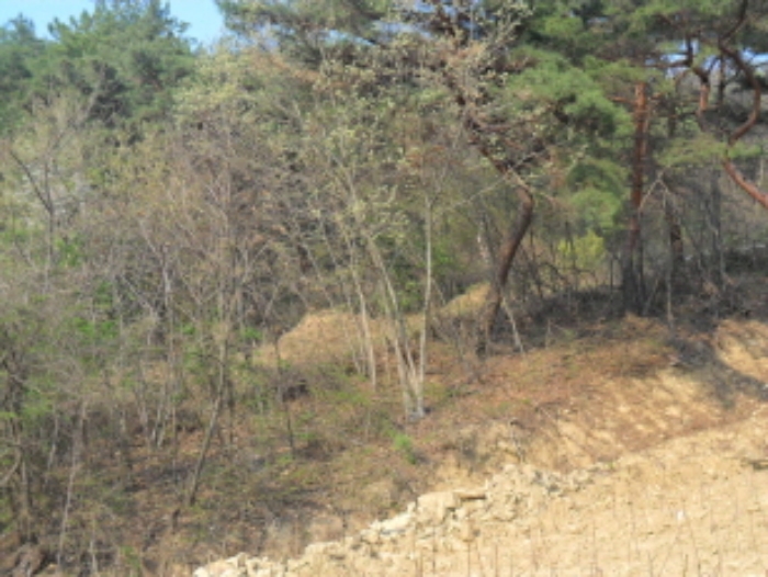 전주지법 2014타경5680-2 사진