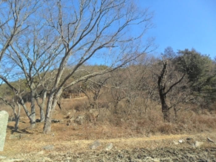 전주지법 2015타경1678-3 사진