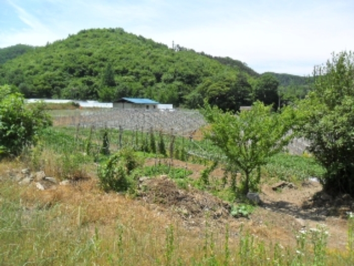 전주지법 2015타경6932-2 사진