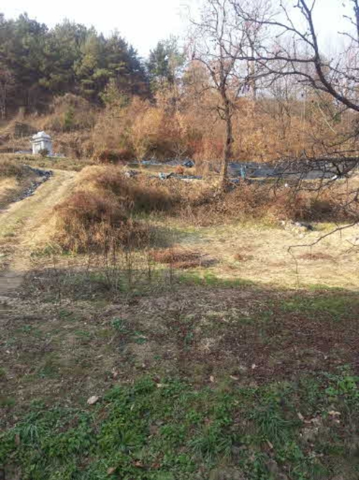 전주지법 2016타경33320-2 사진