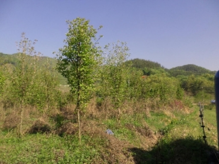 전주지법 2019타경4347-1 사진