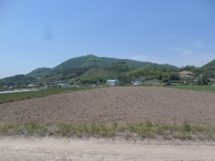 전주지법 2019타경4460-1 사진