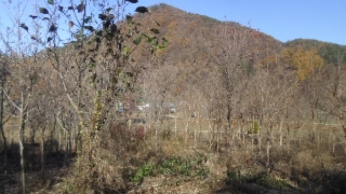 전주지법 2019타경10328-2 사진