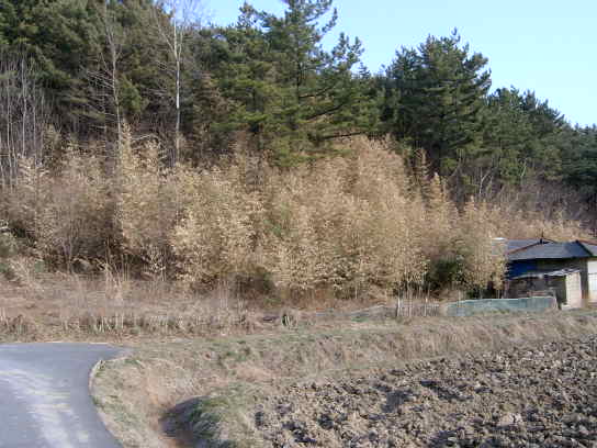 군산지원 2006타경5329-1 사진