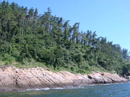군산지원 2006타경12372-2 사진
