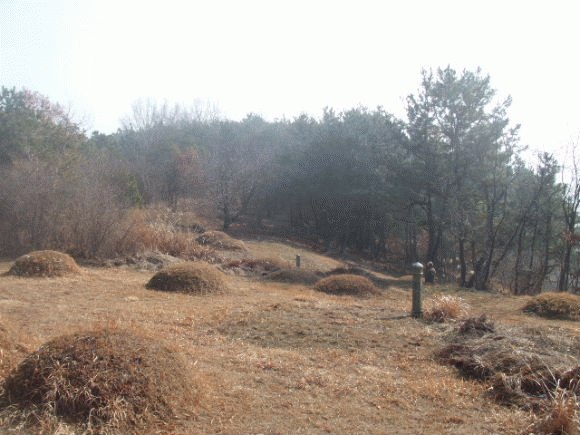군산지원 2006타경20281-1 사진