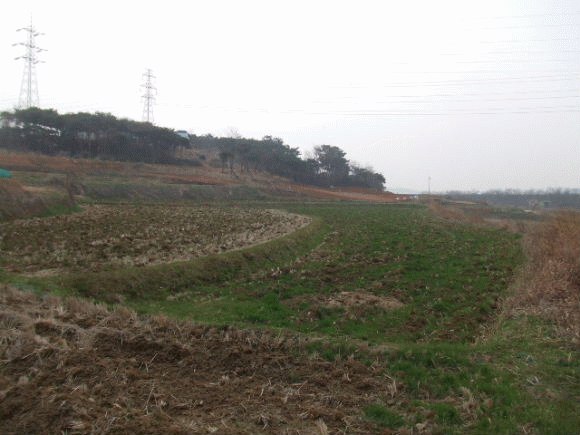 군산지원 2007타경4224-1 사진