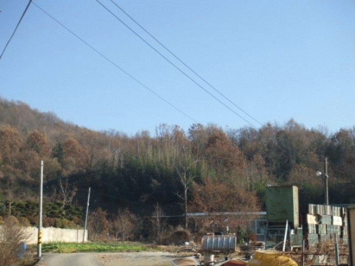 군산지원 2007타경15484-1 사진