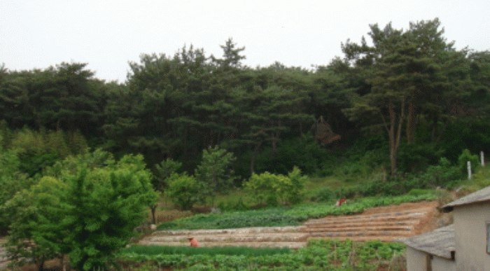 군산지원 2008타경5668-1 사진