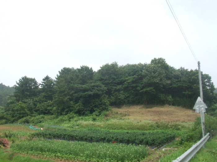 군산지원 2008타경7398-1 사진