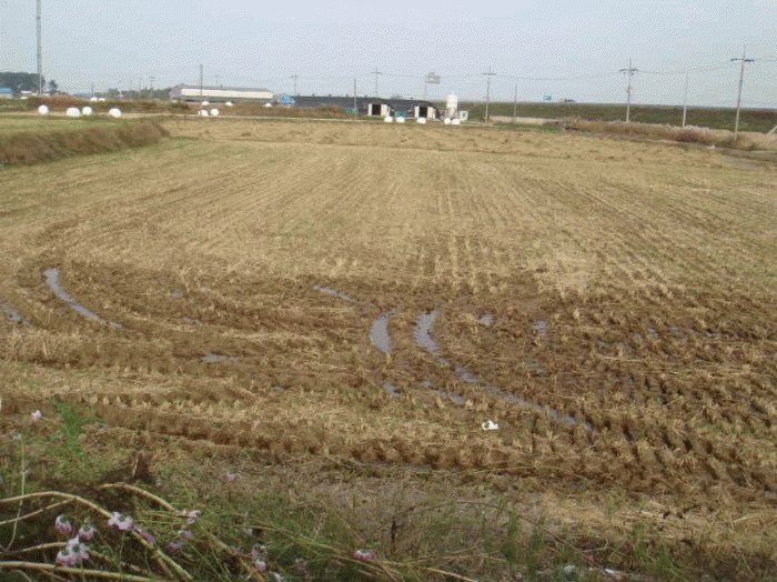 군산지원 2008타경12024-1 사진