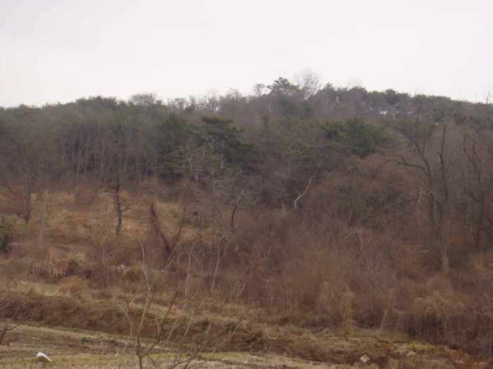 군산지원 2009타경1069-1 사진