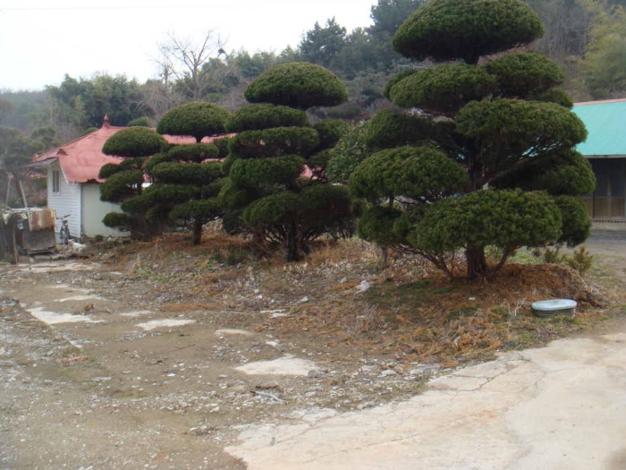 군산지원 2009타경2178-1 사진