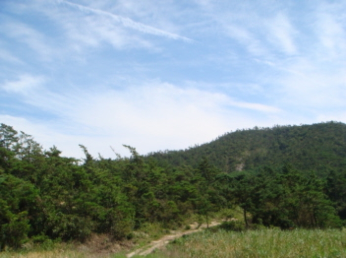 군산지원 2011타경8070-2 사진