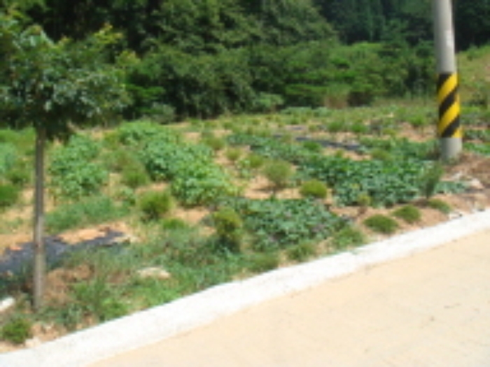 군산지원 2012타경7302-2 사진