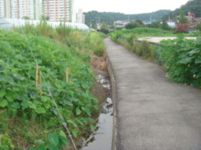 군산지원 2013타경6160-2 사진