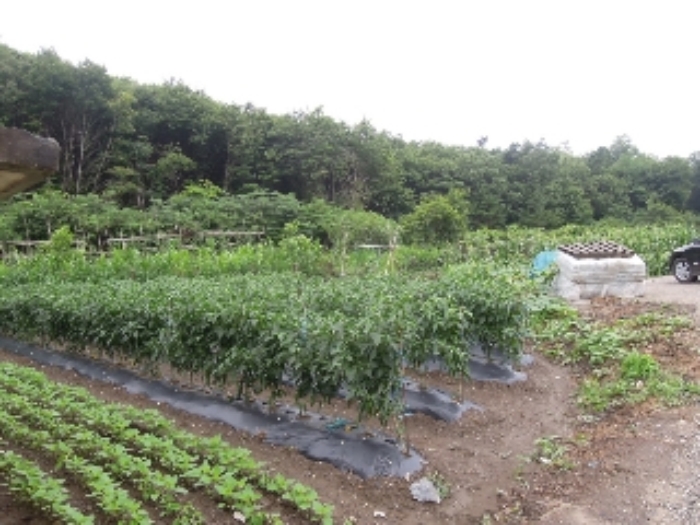 군산지원 2014타경6716-2 사진