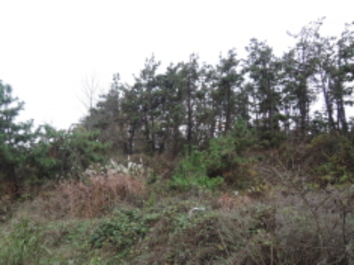 군산지원 2015타경10064-2 사진