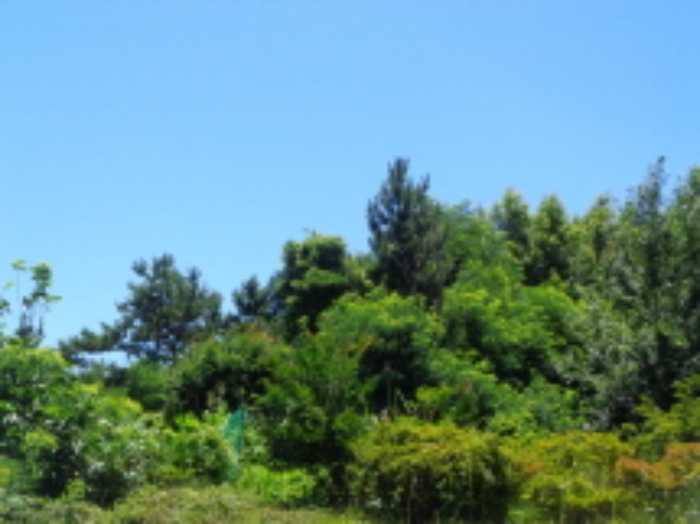 군산지원 2018타경5360-1 사진
